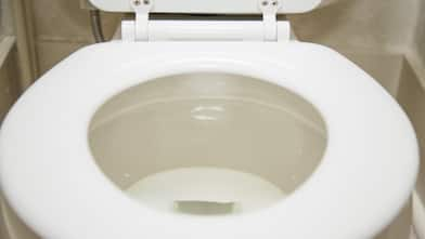 Toilet seat